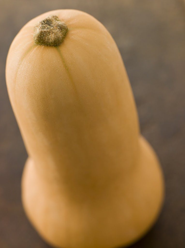 butternut-squash-2.jpg
