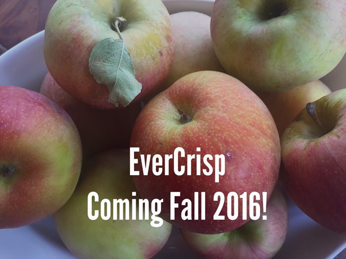 Evercrisp Apples