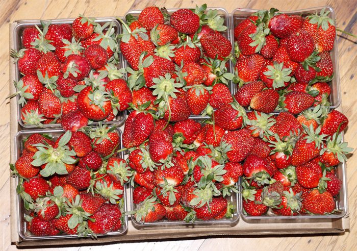 Strawberries