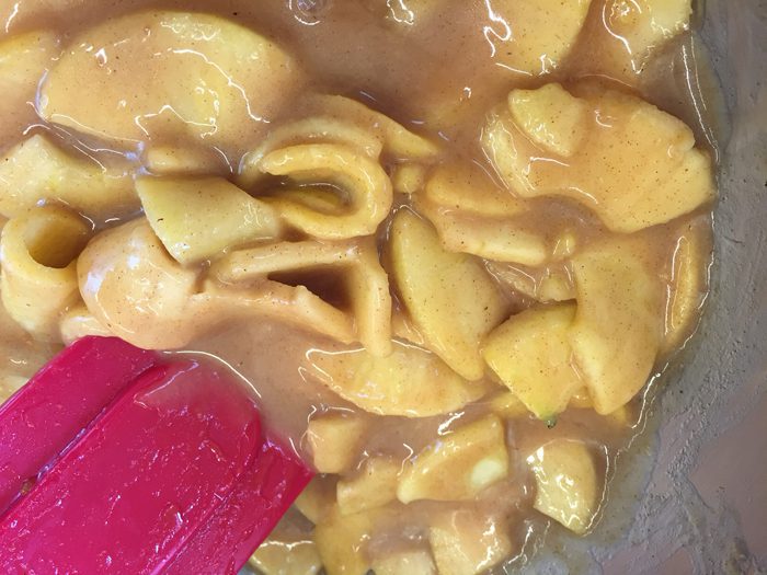 Salted Caramel Pixie Apples