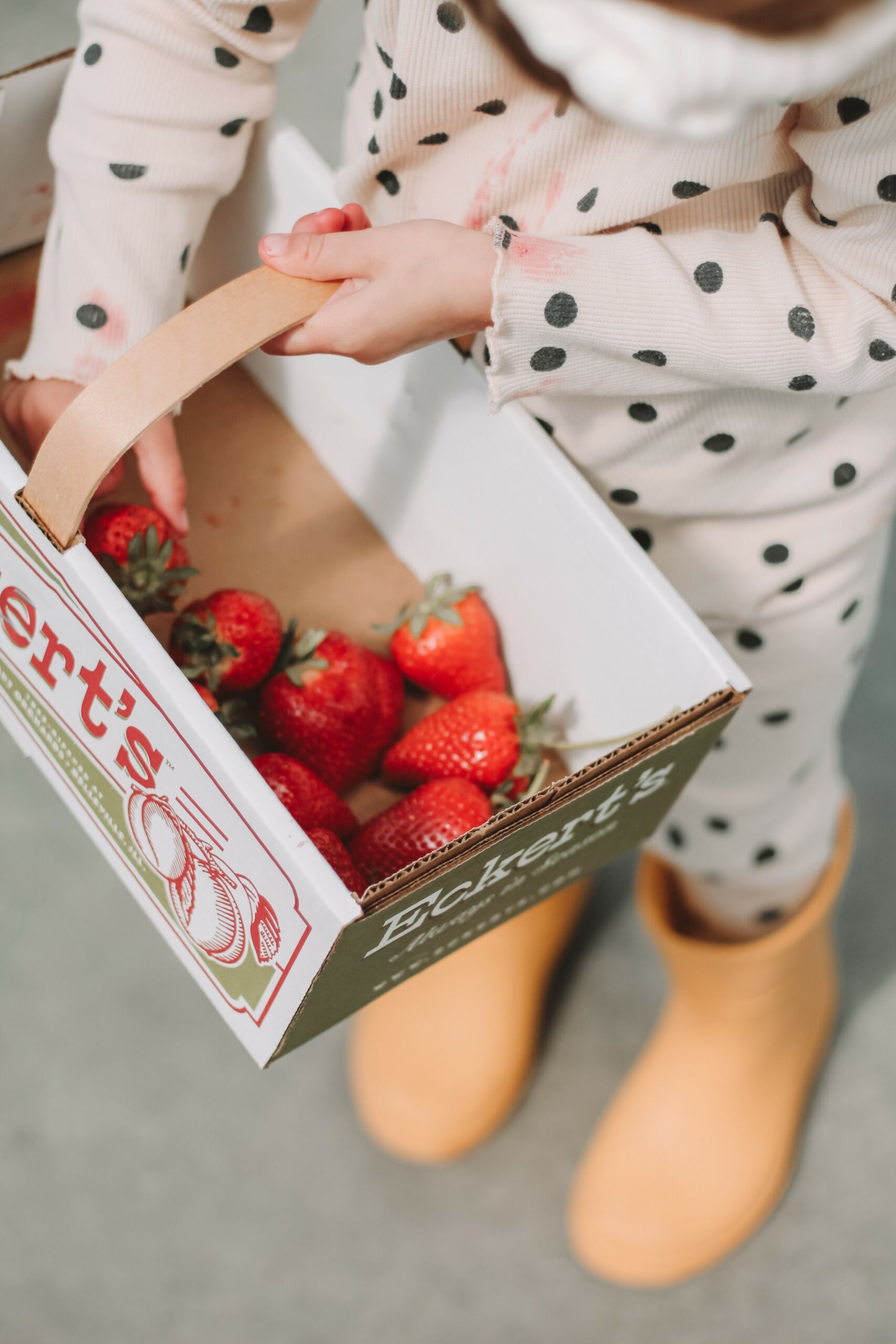 Pick Your Own Strawberry
